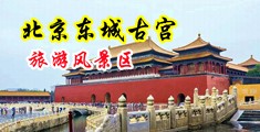 大鸡吧艹视频中国北京-东城古宫旅游风景区